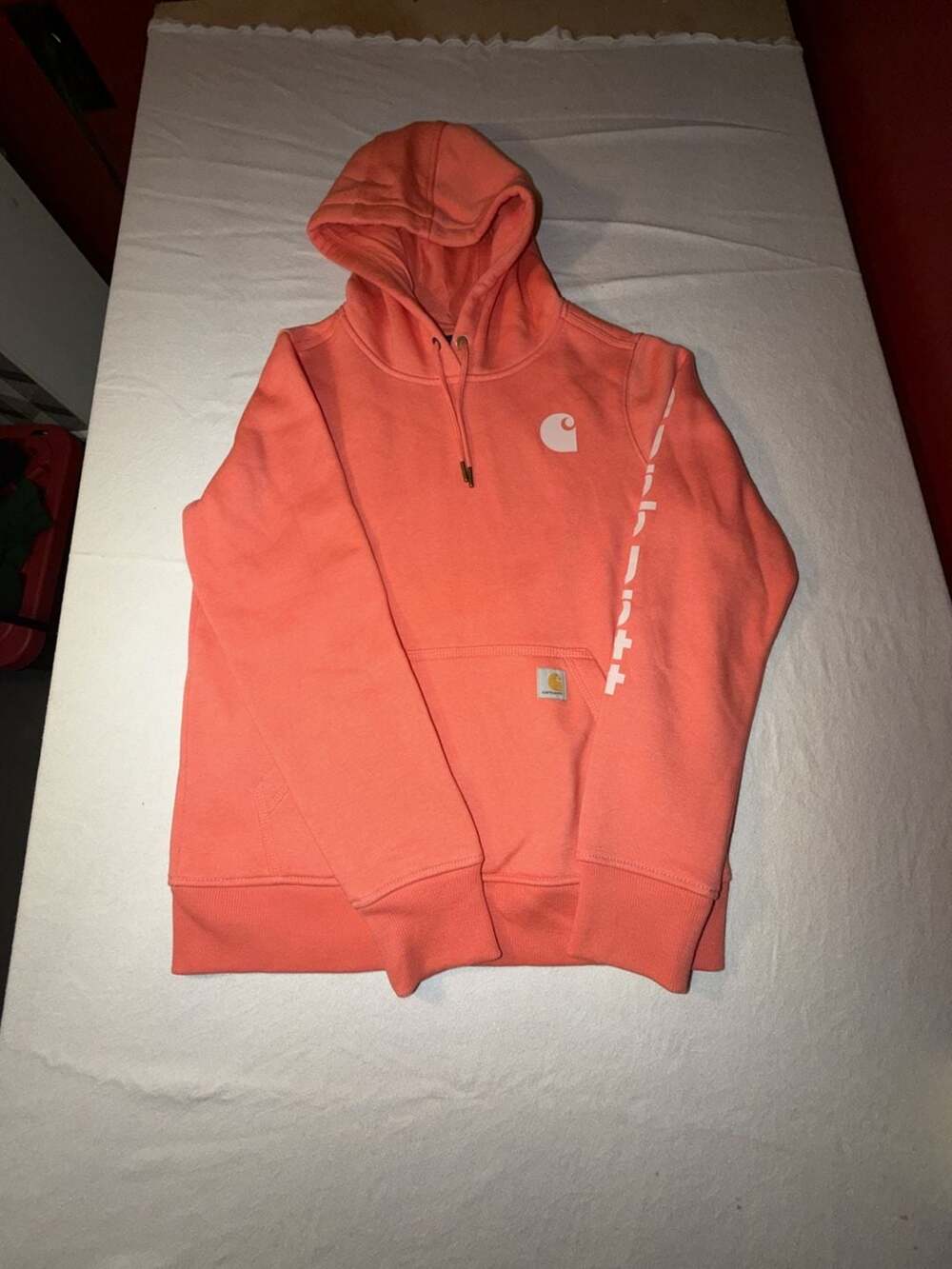 Carhartt Women's Iconic Clarksburg Logo Sleeve Hoodie Coral Pink